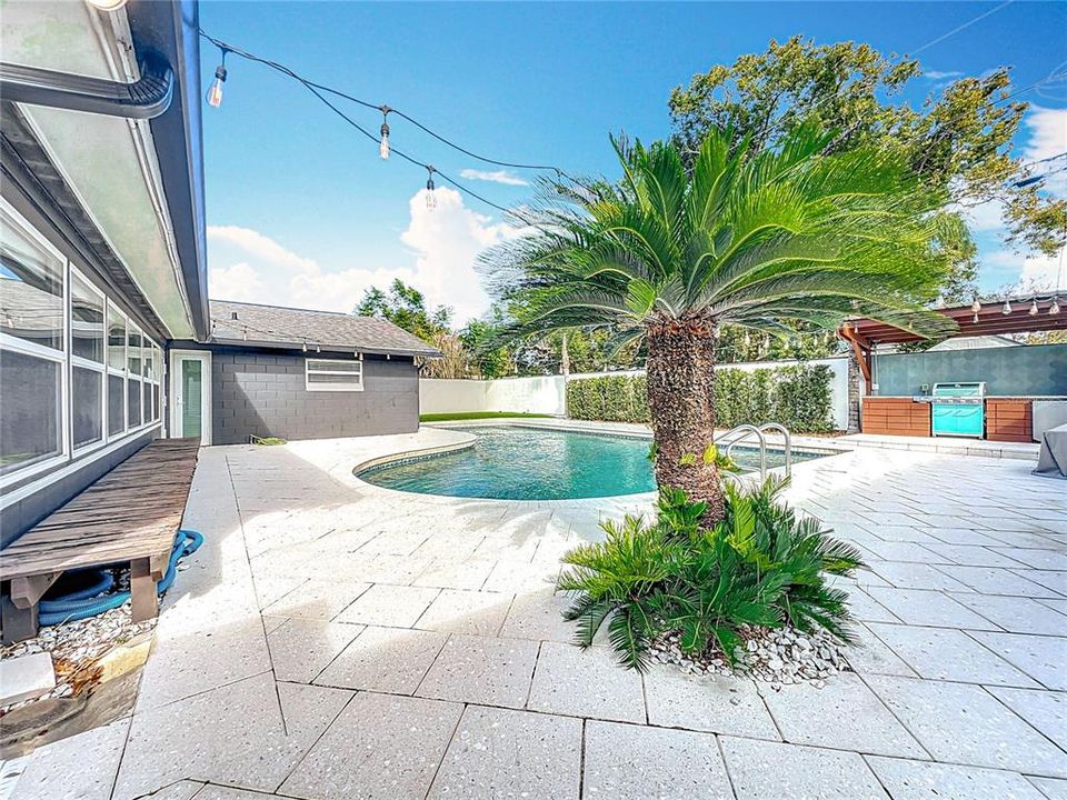 Pool with Shell Pavers