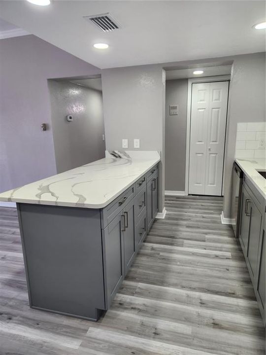 BEAUTIFUL QUARTZ COUNTERS WITH LOTS OF CABINET SPACE