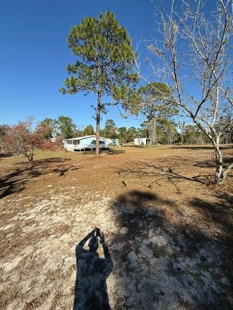 For Sale: $255,000 (3 beds, 2 baths, 1211 Square Feet)