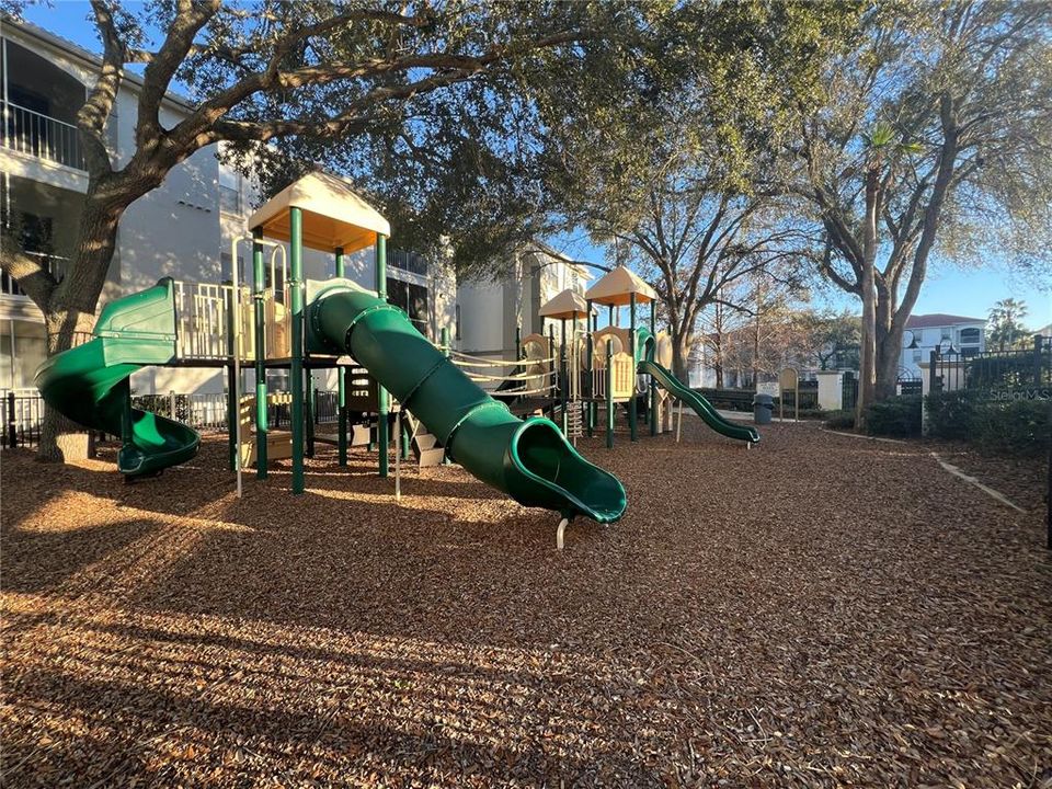 Playground Area