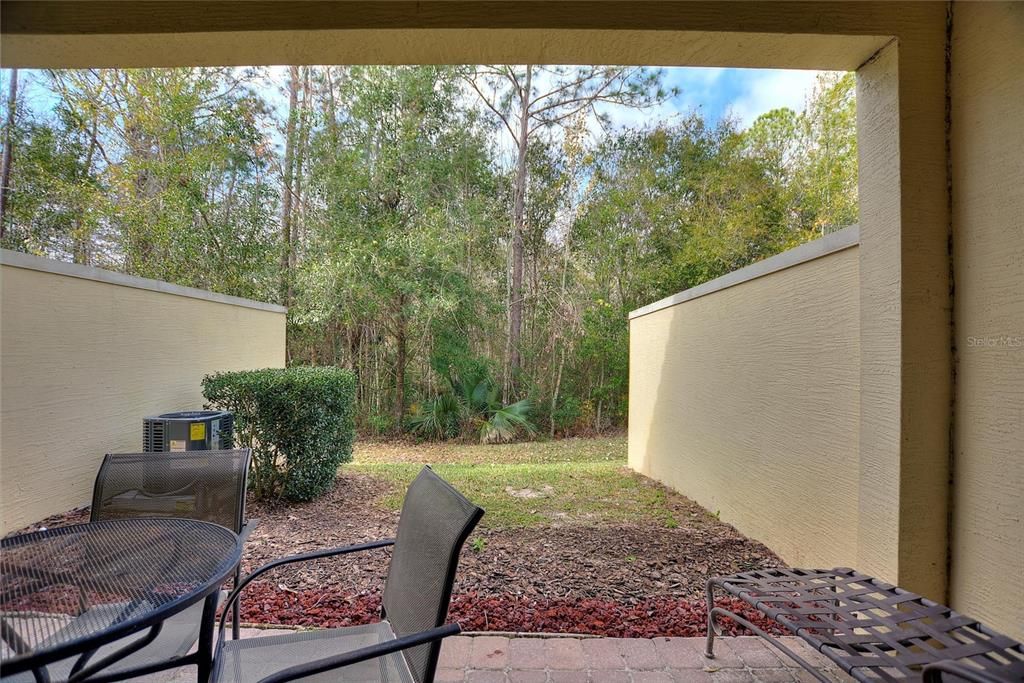 Private covered patio backing up to conservation area