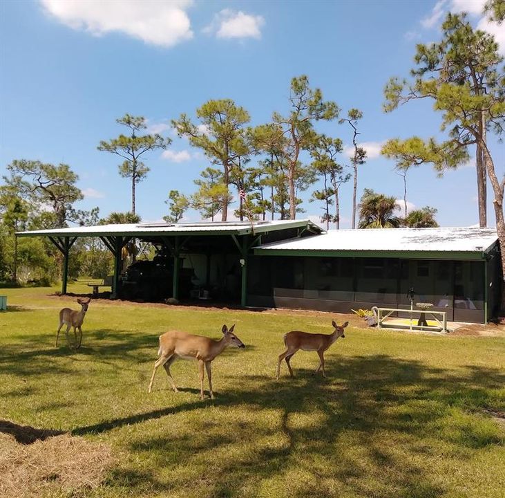 待售: $1,800,000 (0 贝兹, 0 浴室, 0 平方英尺)