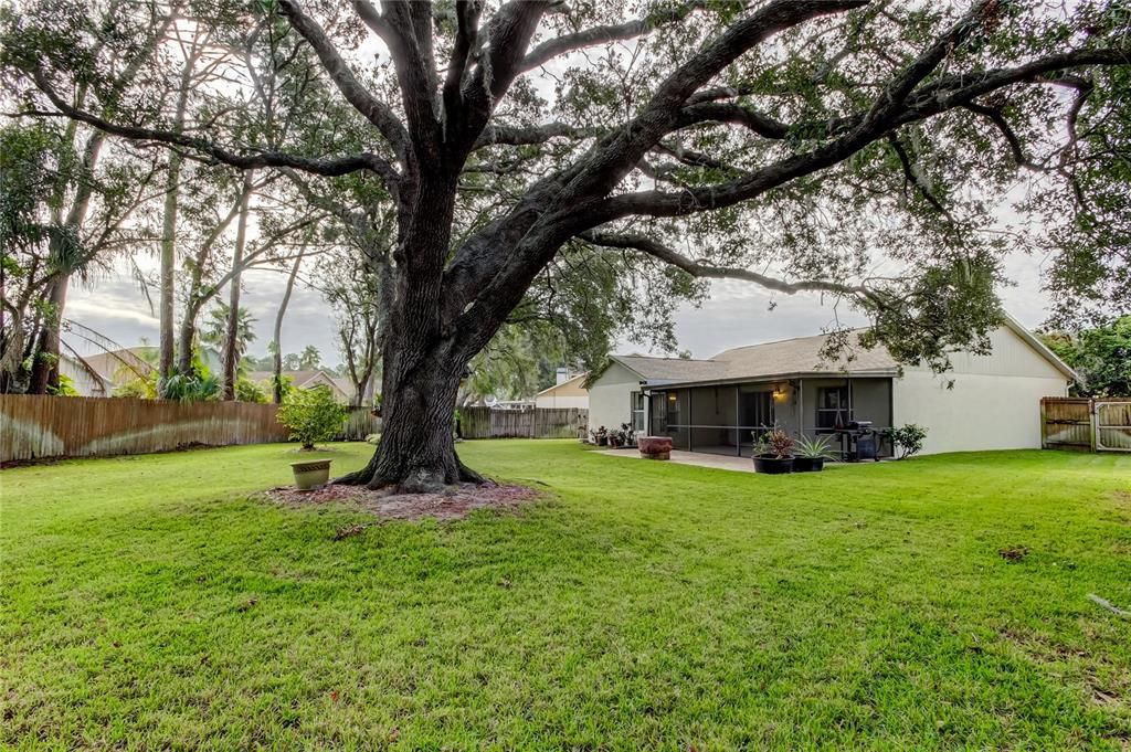 For Sale: $430,000 (3 beds, 2 baths, 1276 Square Feet)