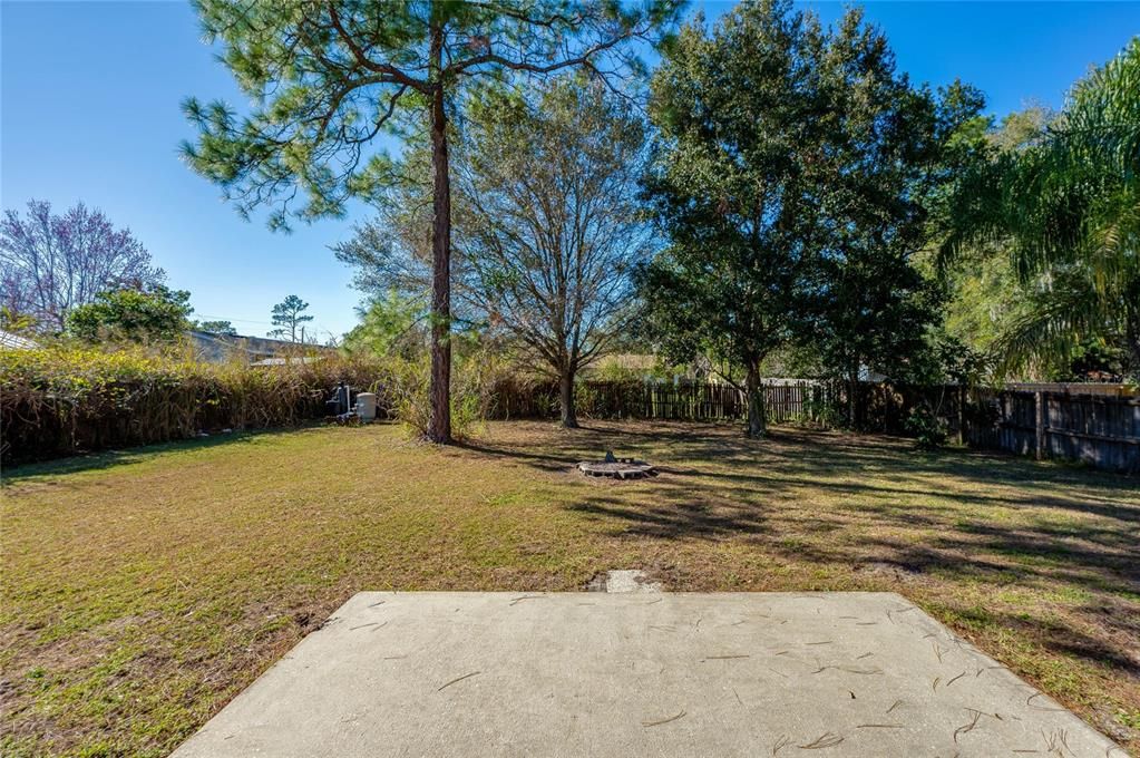 Patio/Backyard