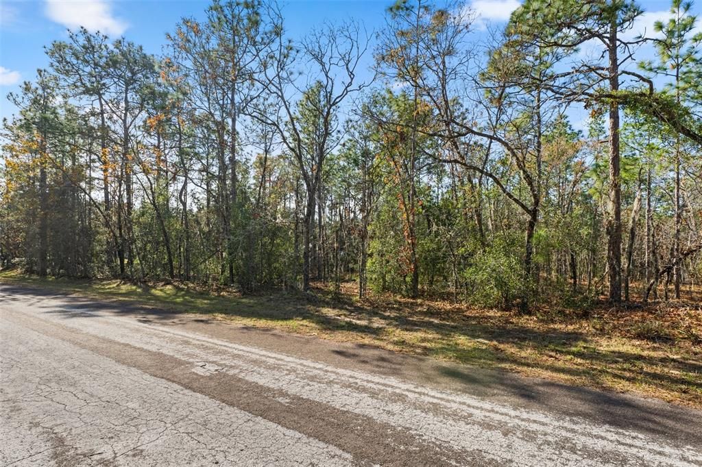 For Sale: $44,500 (1.05 acres)