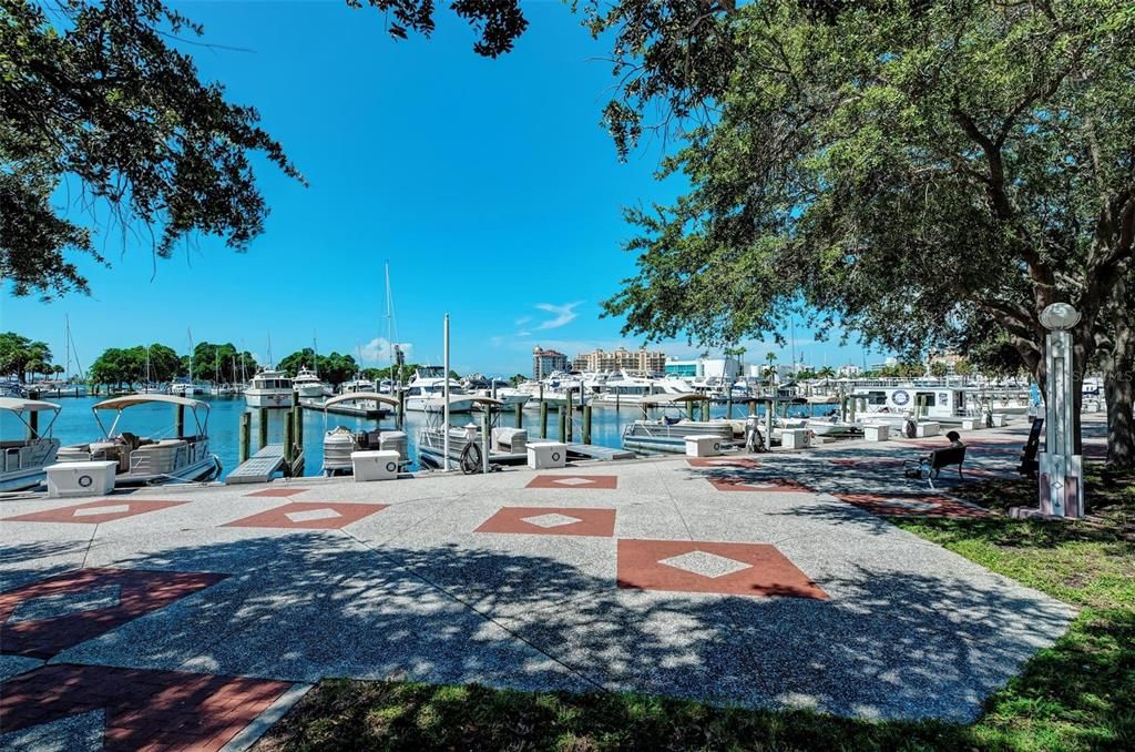 Sarasota bayfront