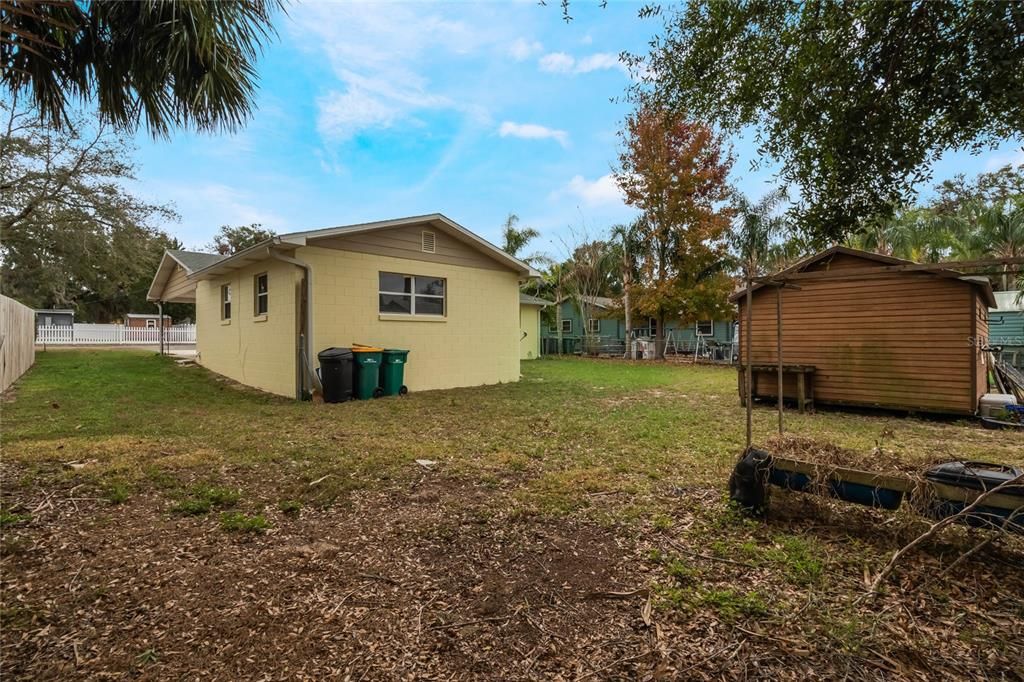 Shed & Backyard