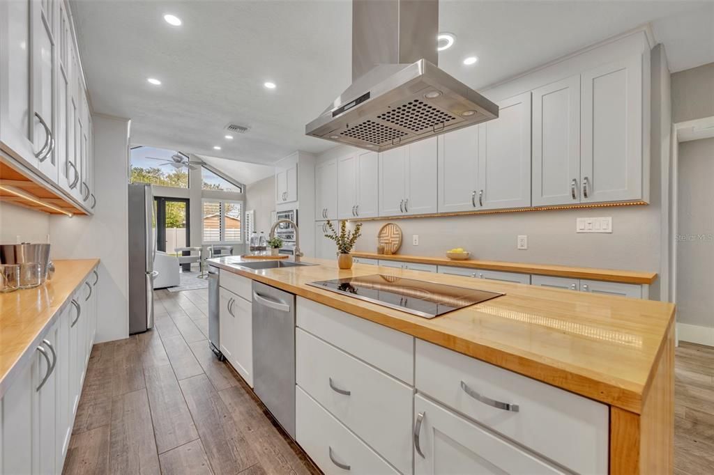 Electric stovetop and range hood