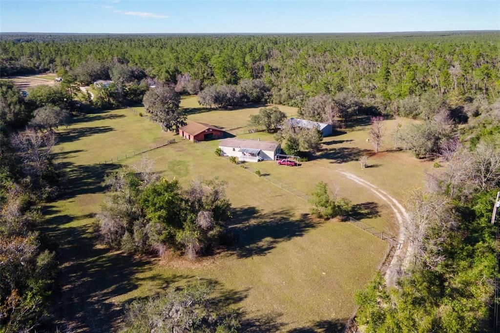 Border the Ocala National Forest