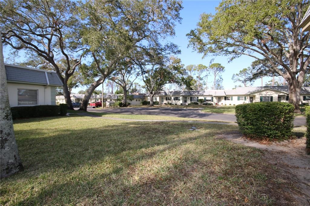 Side yard View from Unit