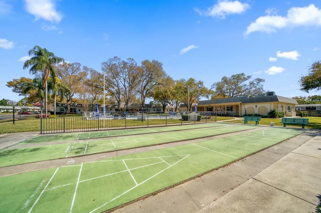 Shuffleboard Court