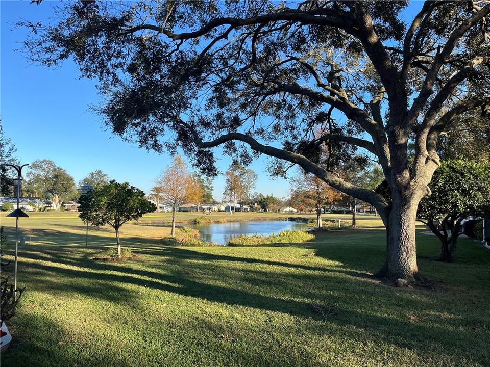 1139 Back views of Pond & Golfcourse