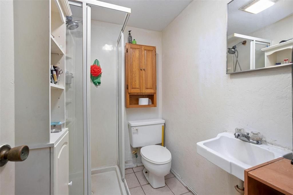 Apartment downstairs bathroom with standing shower