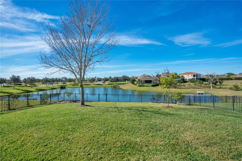 View of pond