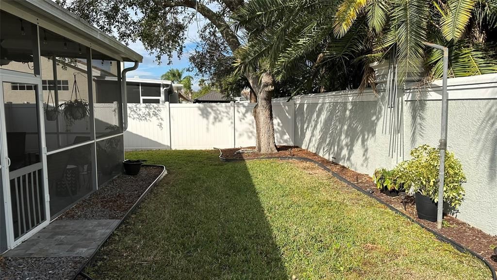 Fenced Backyard