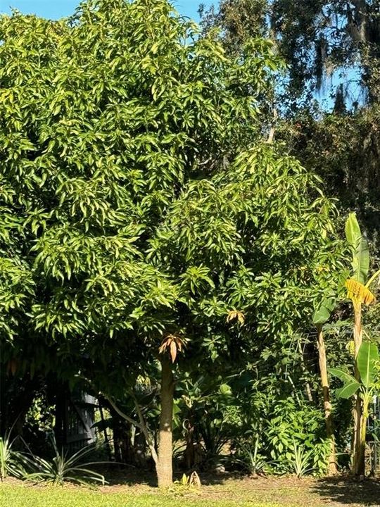 Под контрактом: $1,250,000 (4 спален, 3 ванн, 3151 Квадратных фут)