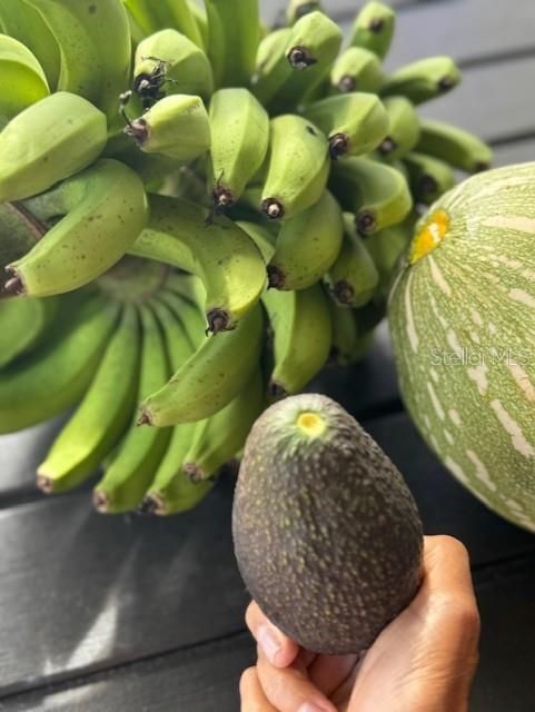 Под контрактом: $1,250,000 (4 спален, 3 ванн, 3151 Квадратных фут)