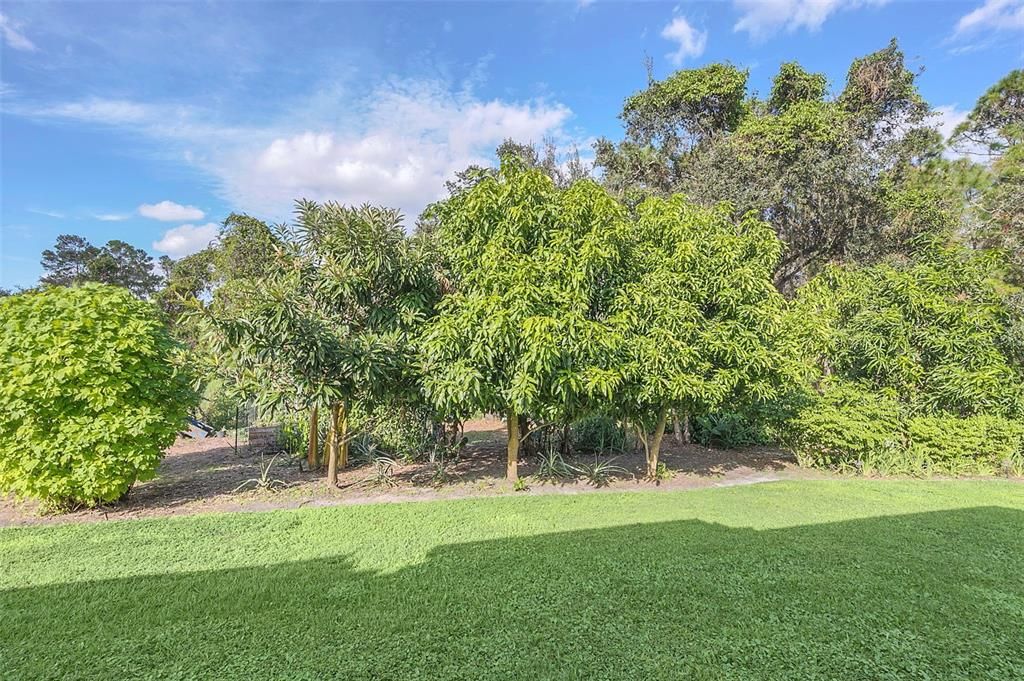 Под контрактом: $1,250,000 (4 спален, 3 ванн, 3151 Квадратных фут)