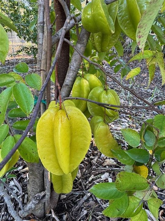 Под контрактом: $1,250,000 (4 спален, 3 ванн, 3151 Квадратных фут)