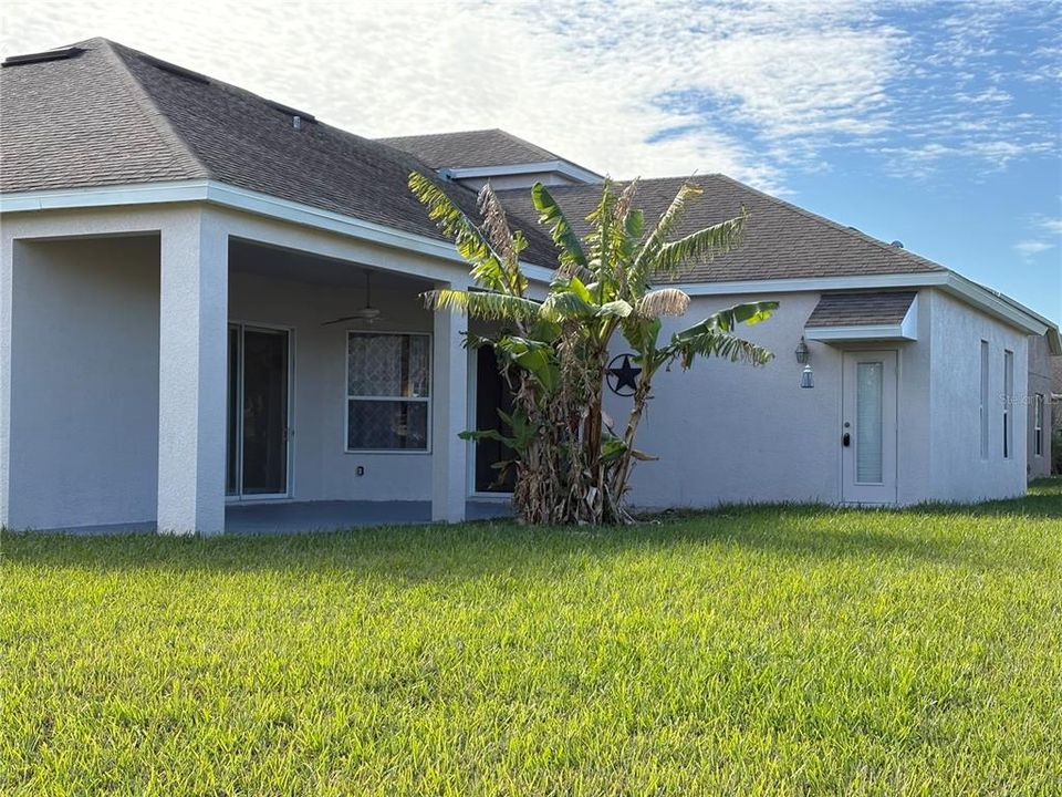 Rear Porch