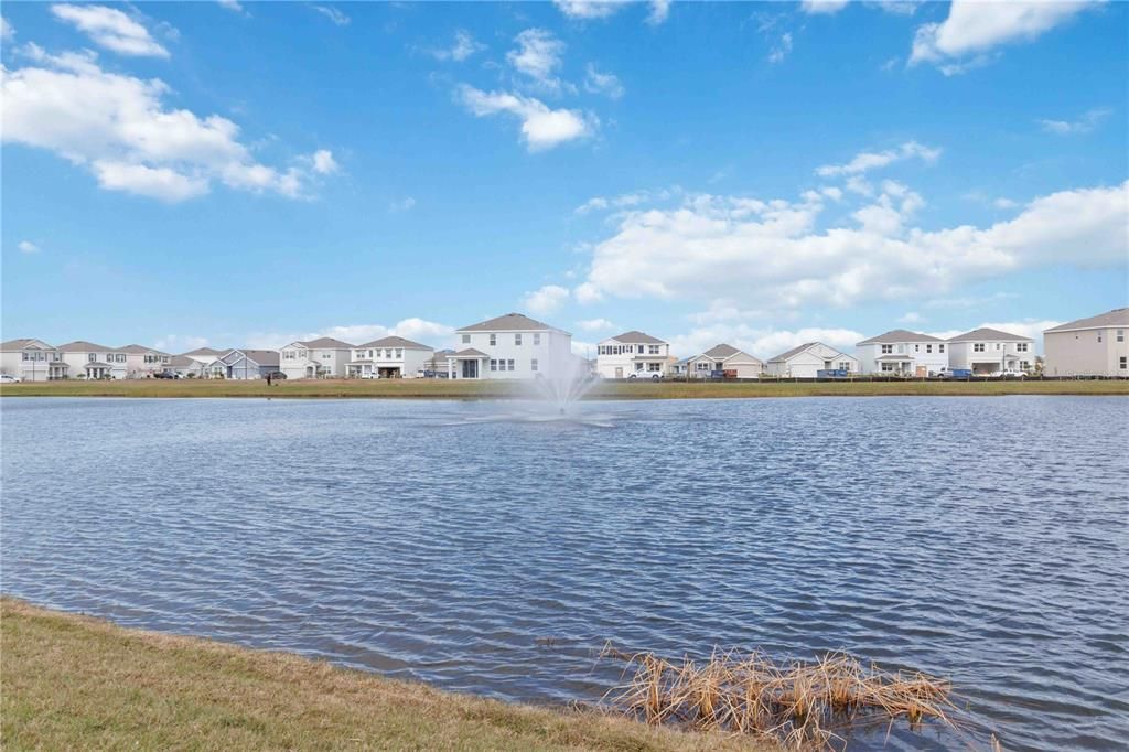 Pond View