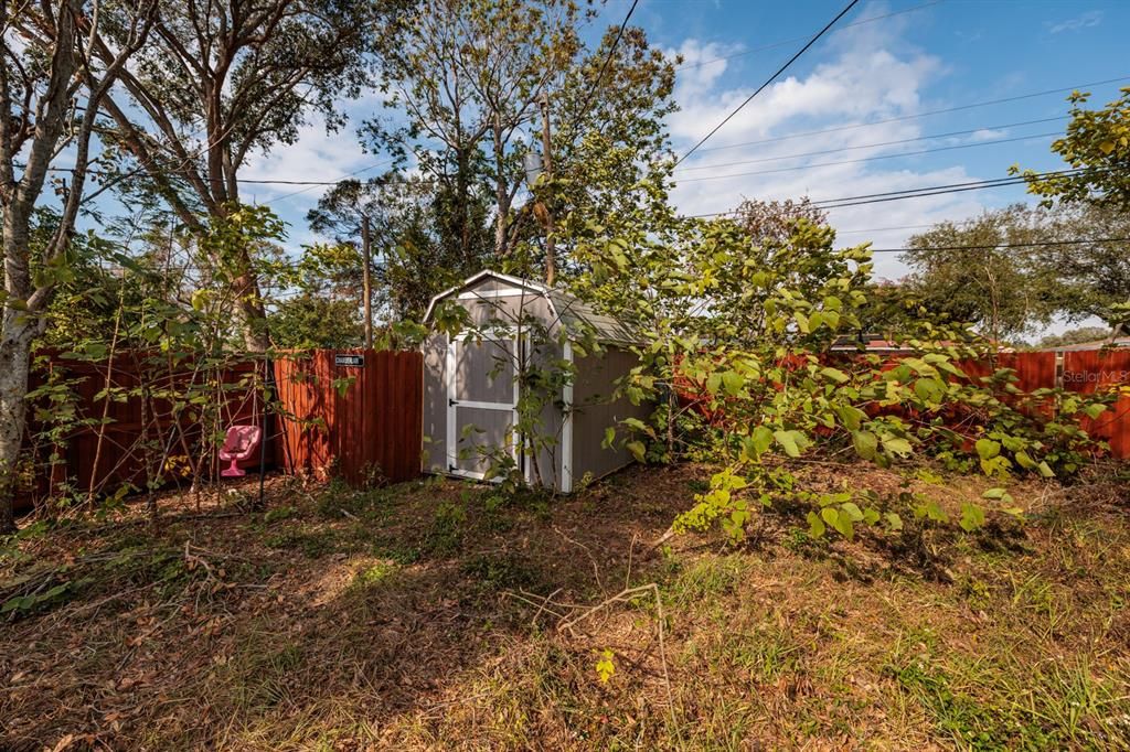 Shed in Huge Fenced Backyard