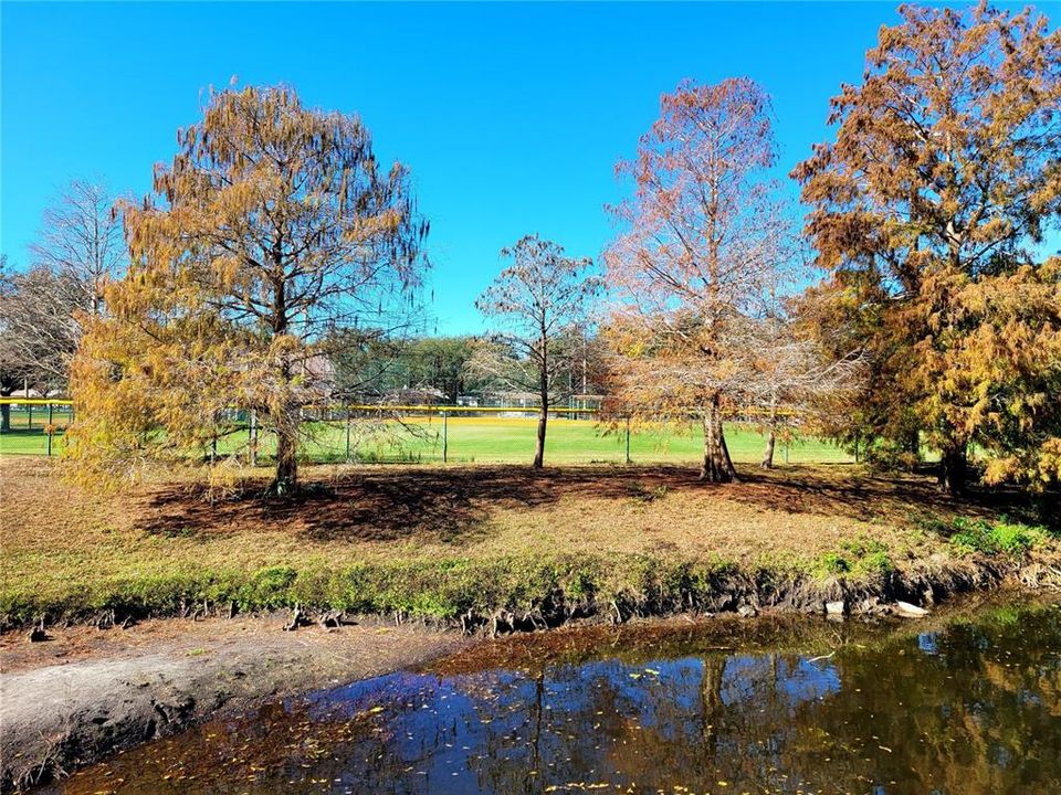 Tomlinson Lake Park