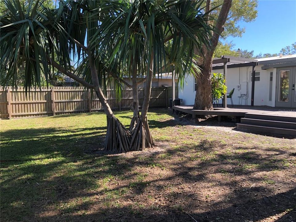 Rear Yard and Deck