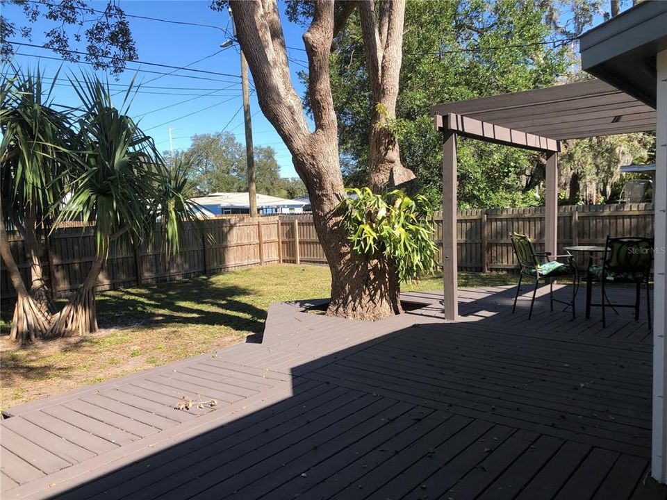 Rear Yard and Deck