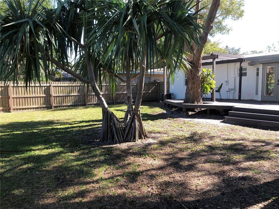 Rear Yard and Deck