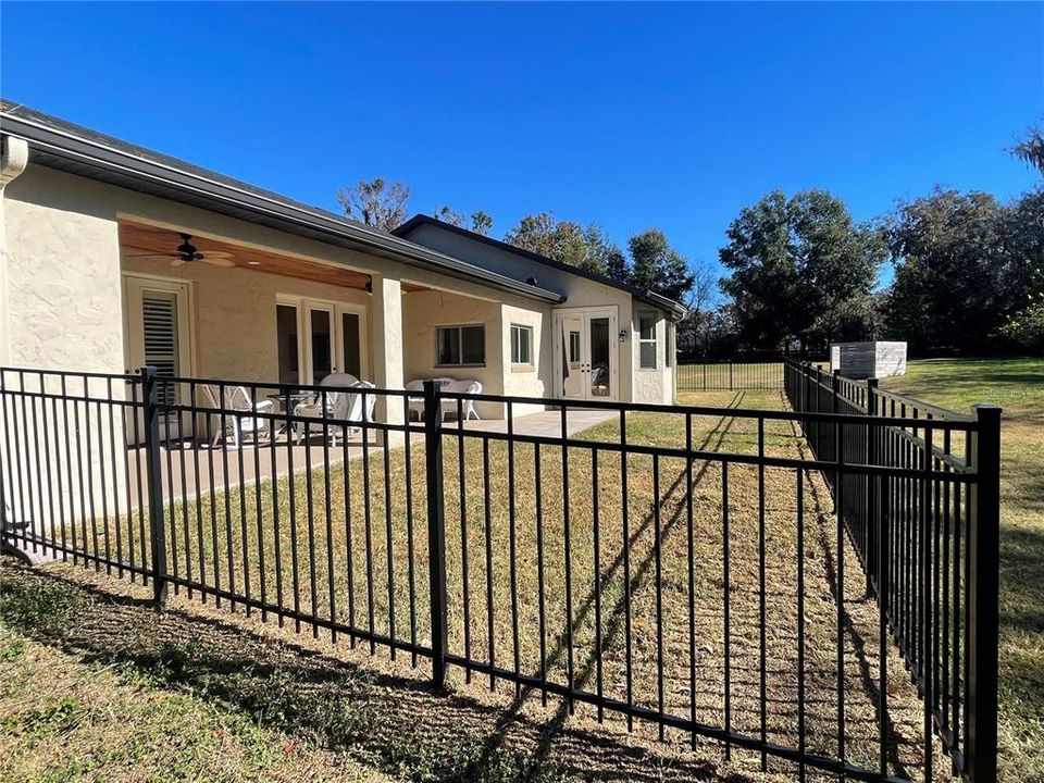 Fenced yard for the pooches