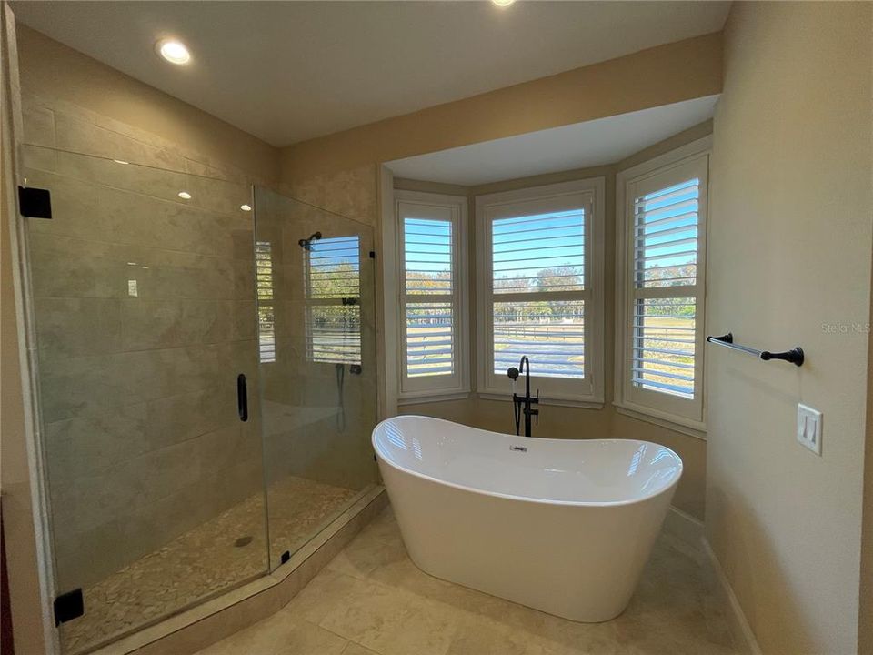 Soaking Tub, separate Shower