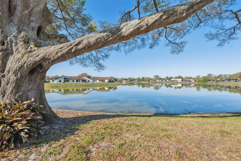 Recently Sold: $170,000 (2 beds, 2 baths, 1163 Square Feet)