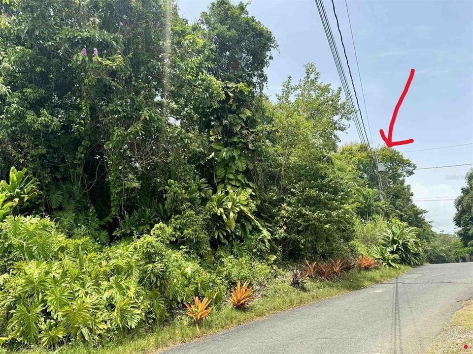 待售: $315,000 (6.37 acres)