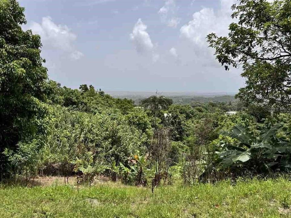 待售: $315,000 (6.37 acres)