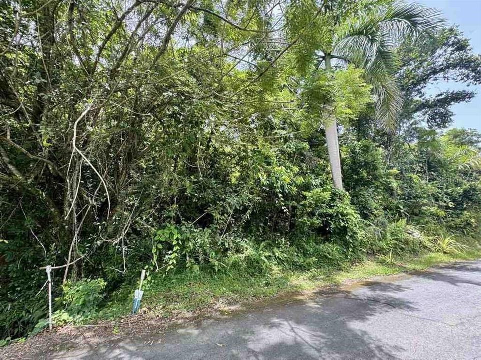 待售: $315,000 (6.37 acres)