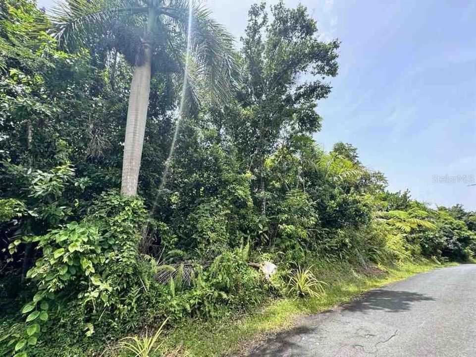 待售: $315,000 (6.37 acres)