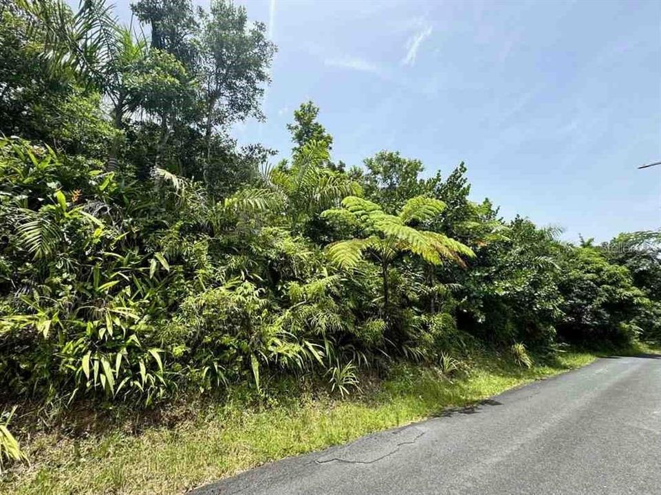 待售: $315,000 (6.37 acres)