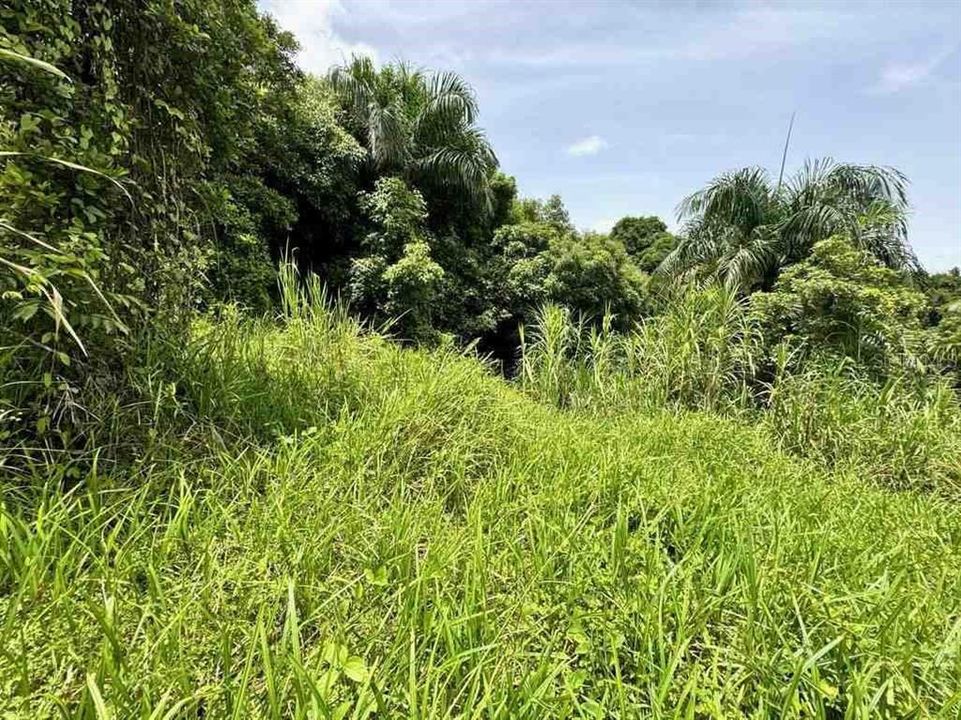 待售: $315,000 (6.37 acres)