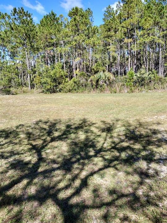 For Sale: $369,800 (4 beds, 2 baths, 2280 Square Feet)