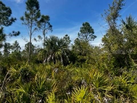 En Venta: $196,000 (10.00 acres)