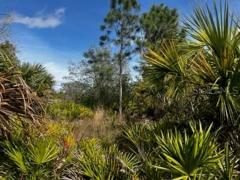 En Venta: $196,000 (10.00 acres)