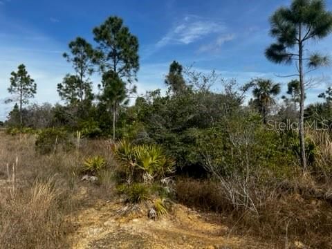 En Venta: $196,000 (10.00 acres)