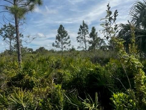 En Venta: $196,000 (10.00 acres)