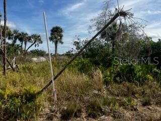 En Venta: $196,000 (10.00 acres)