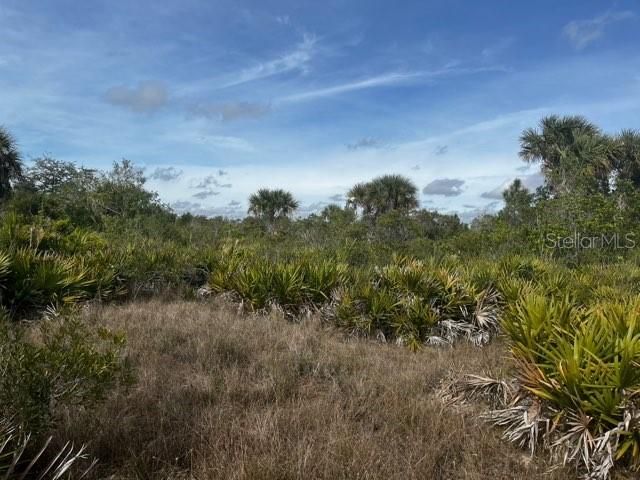 En Venta: $196,000 (10.00 acres)