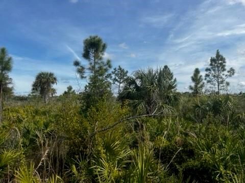 En Venta: $196,000 (10.00 acres)