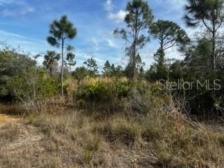 En Venta: $196,000 (10.00 acres)