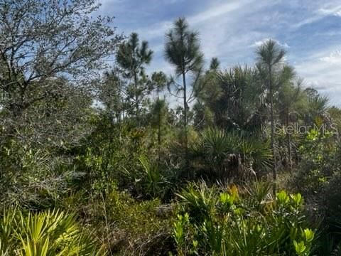 En Venta: $196,000 (10.00 acres)