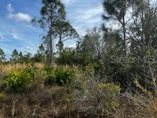 En Venta: $196,000 (10.00 acres)